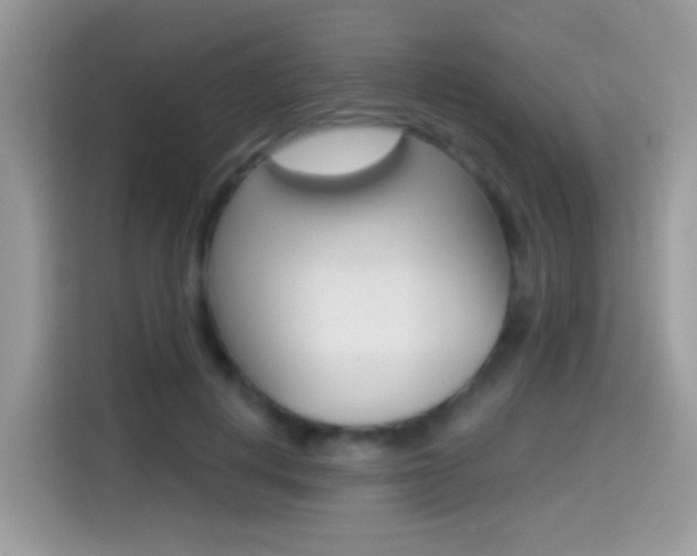 X0000114440648200910161053