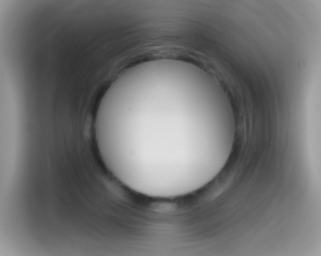 X0000114440649200910161053