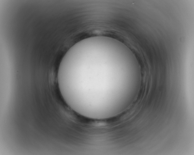X0000114440651200910161053