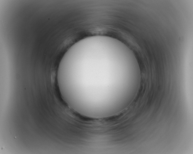X0000114440652200910161053