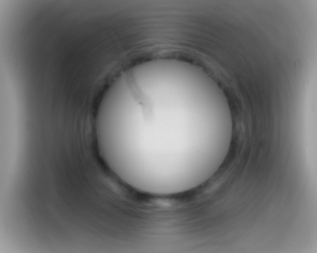 X0000114440654200910161053