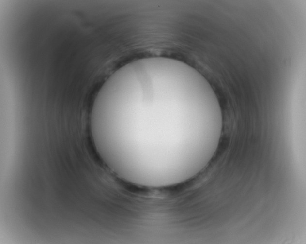 X0000114440656200910161053