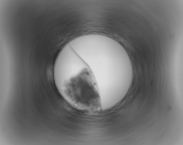 X0000114440661200910161053