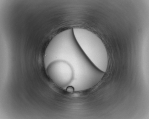 X0000114440662200910161053