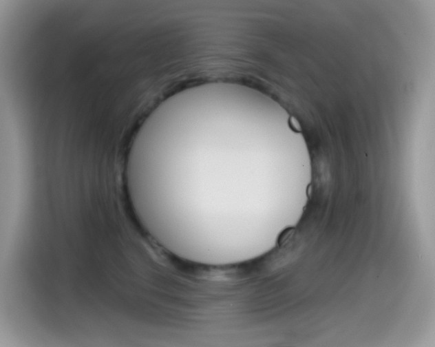 X0000114440664200910161053