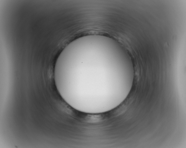 X0000114440665200910161053