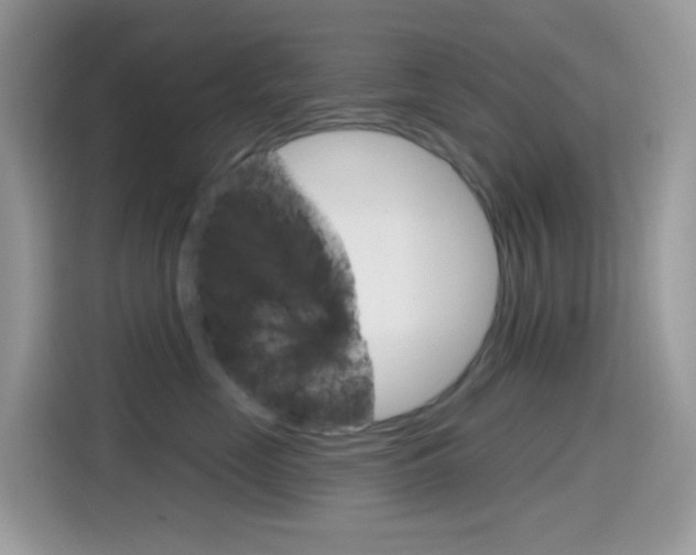 X0000114440669200910161053
