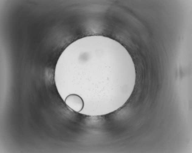 X0000114440672200910161053