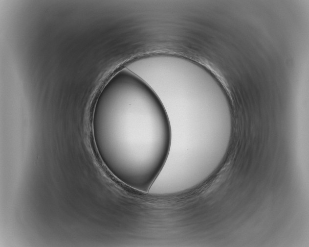 X0000114440673200910161052