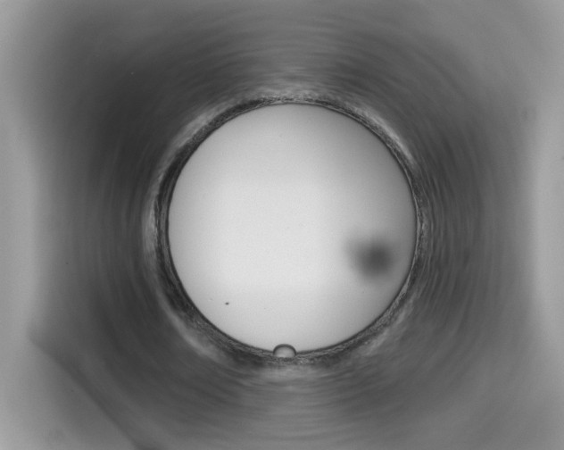 X0000114440674200910161052