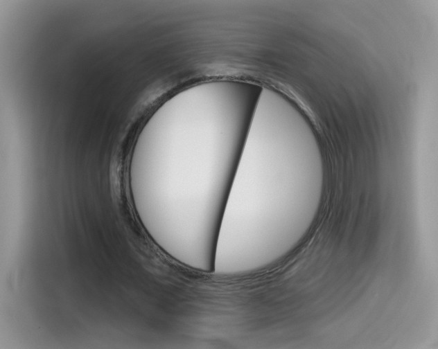 X0000114440675200910161052