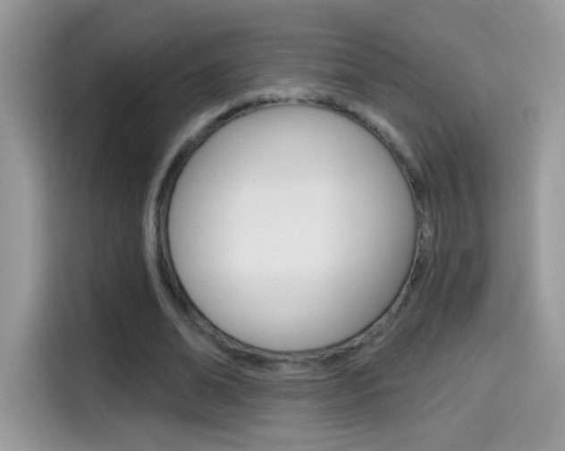 X0000114440678200910161052