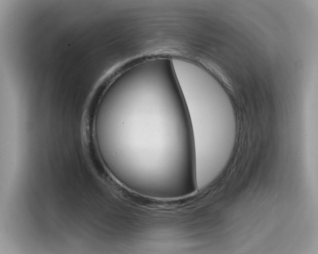 X0000114440680200910161052