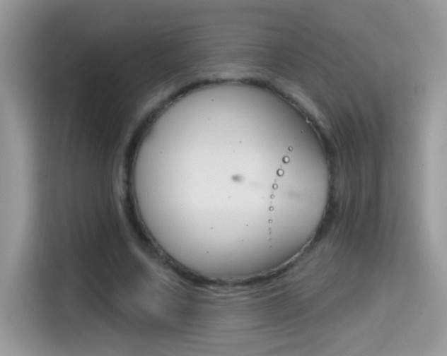X0000114440683200910161052