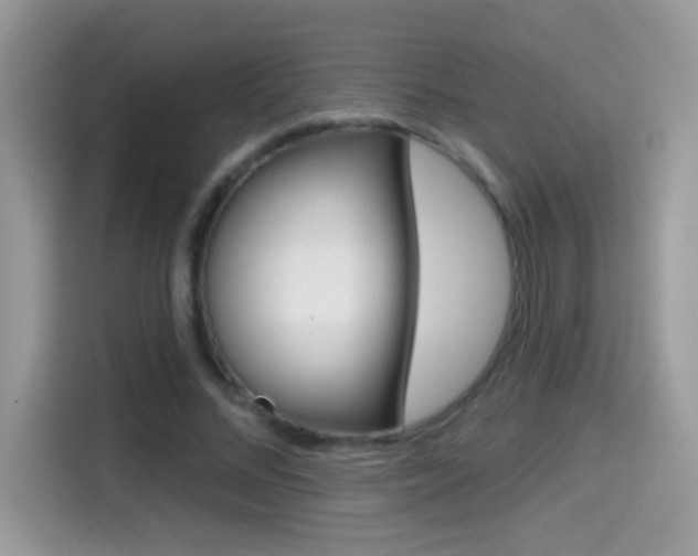 X0000114440684200910161052