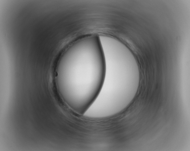 X0000114440687200910161052
