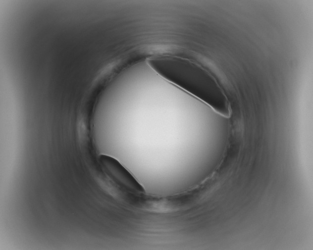 X0000114440688200910161052