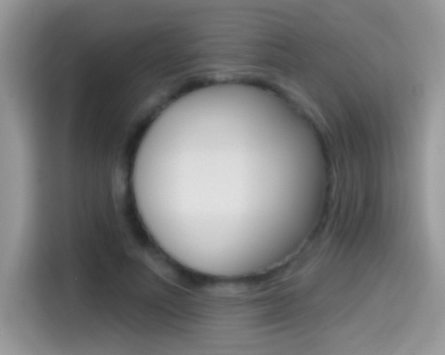 X0000114440691200910161052