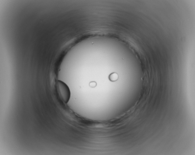 X0000114440692200910161052