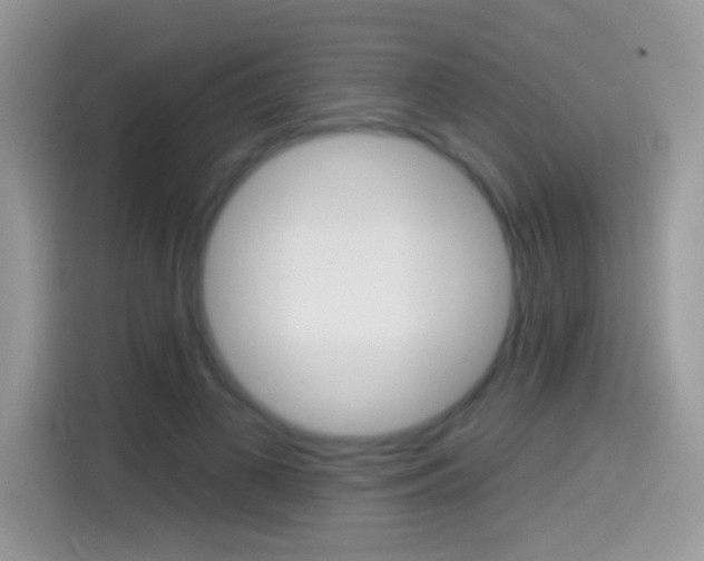 X0000114440693200910161052