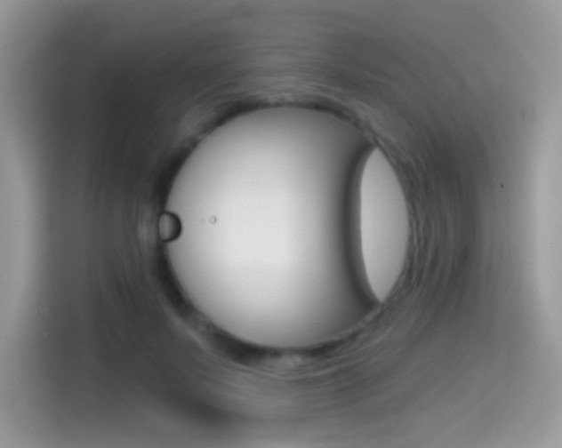 X0000114440695200910161052
