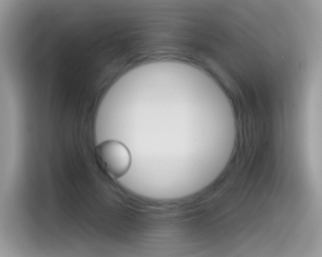X0000114440696200910161052