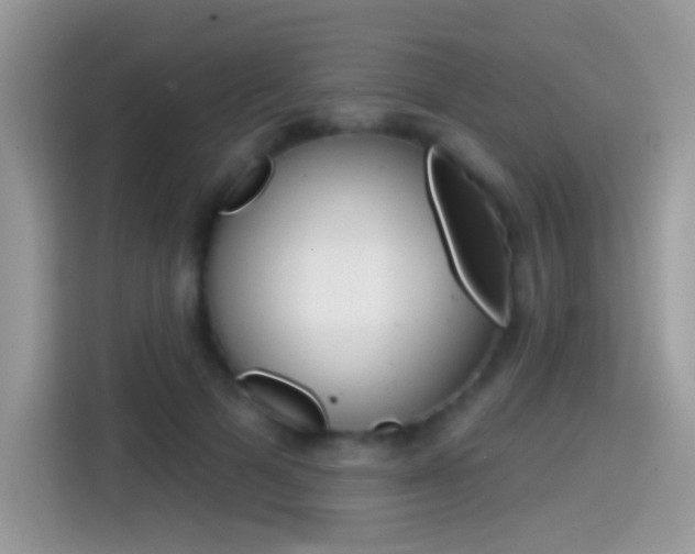 X0000114440697200910161052