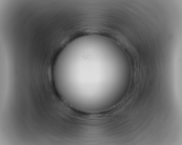 X0000114440700200910161052