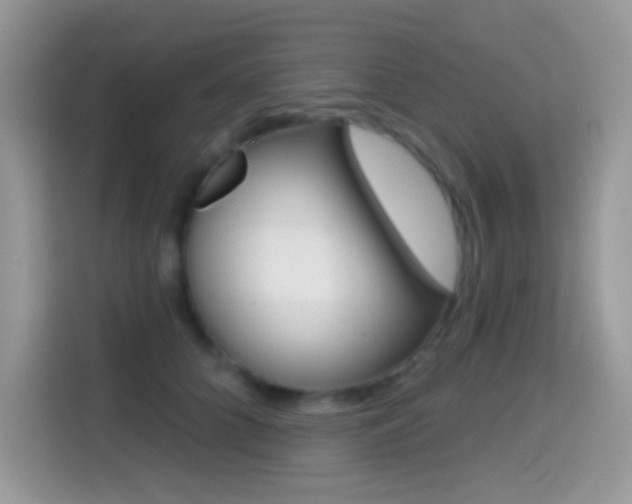 X0000114440704200910161052