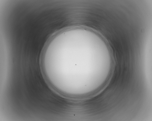 X0000114440705200910161052