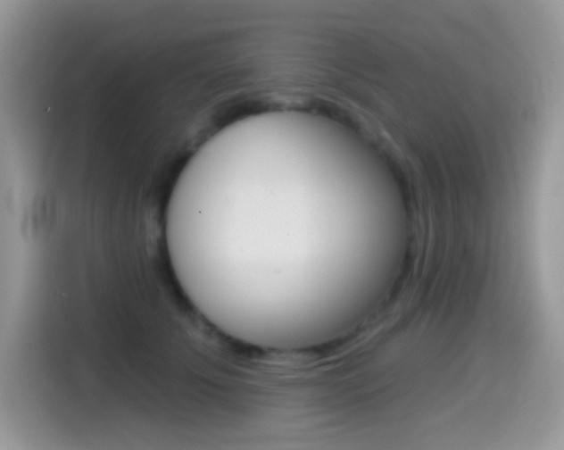 X0000114440707200910161052