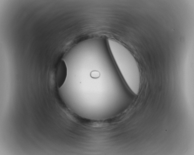 X0000114440708200910161052