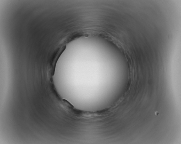X0000114440712200910161052