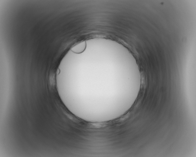 X0000114440713200910161052