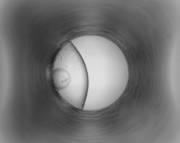 X0000114440715200910161052