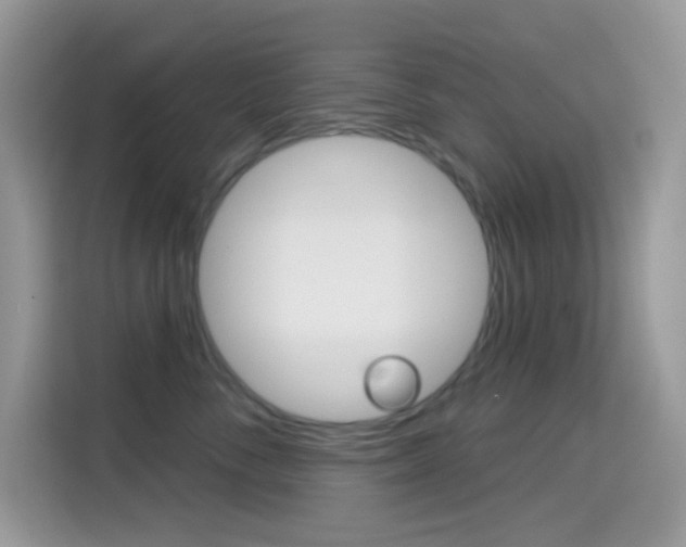 X0000114440716200910161052