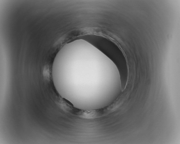 X0000114440720200910161052