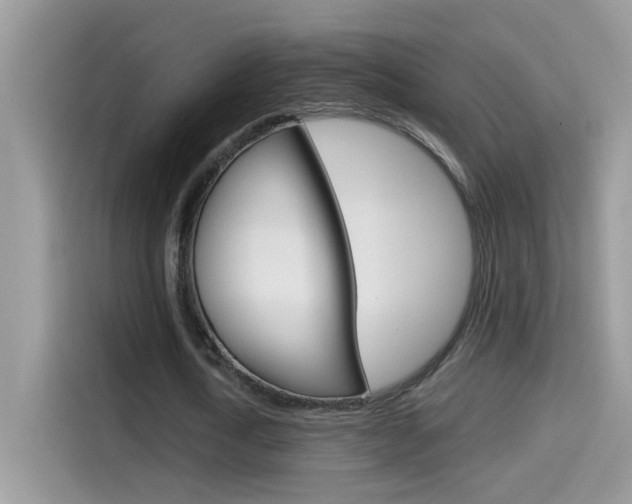 X0000114440722200910161051
