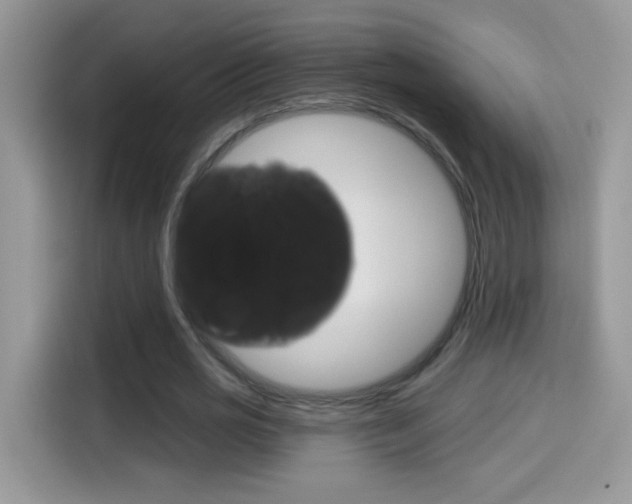 X0000114440725200910161051