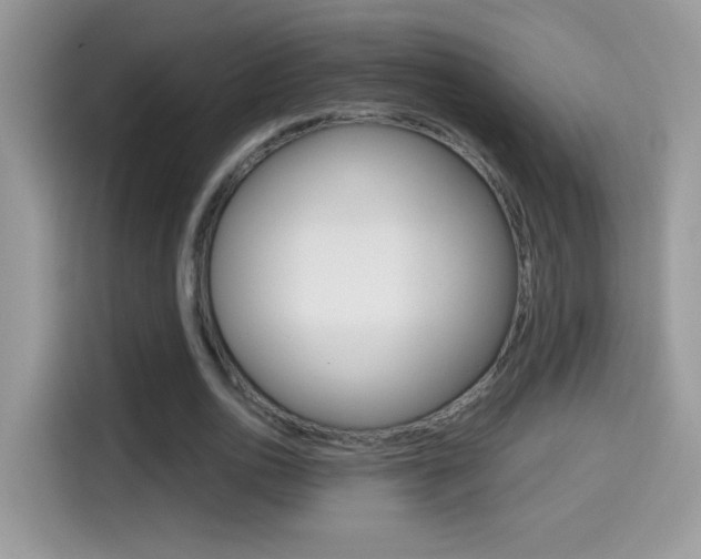 X0000114440726200910161051
