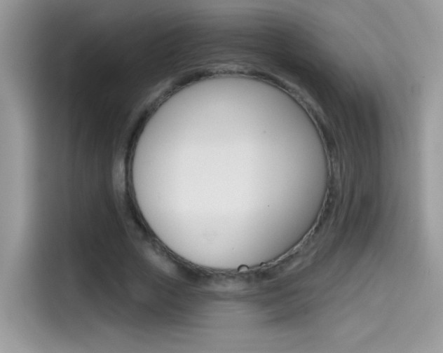 X0000114440729200910161051
