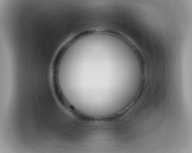 X0000114440730200910161051