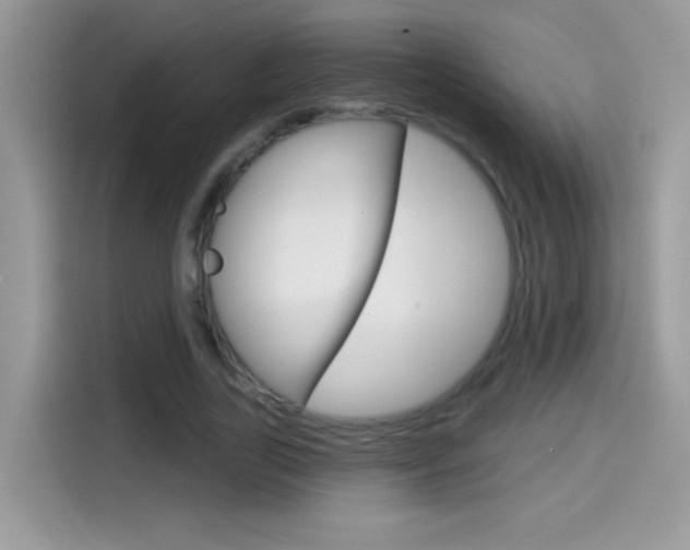 X0000114440731200910161051