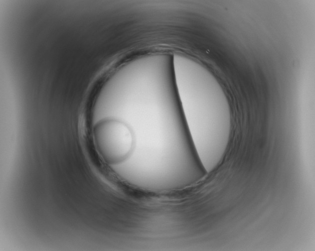 X0000114440734200910161051