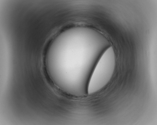 X0000114440738200910161051