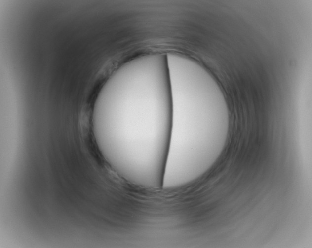 X0000114440739200910161051