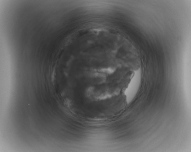 X0000114440741200910161051