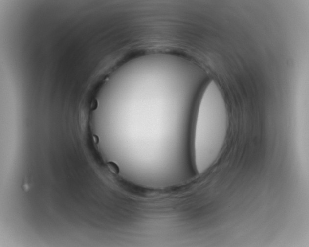 X0000114440742200910161052