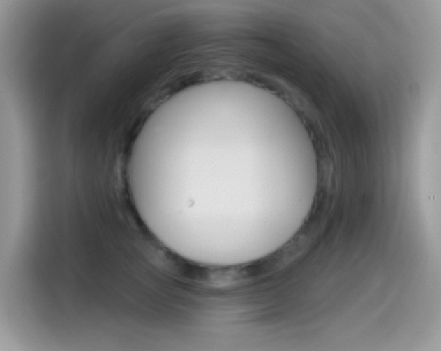 X0000114440757200910161052