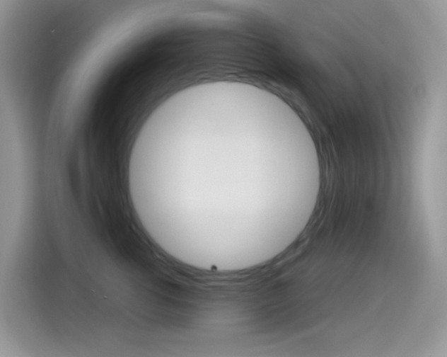 X0000114440762200910161052